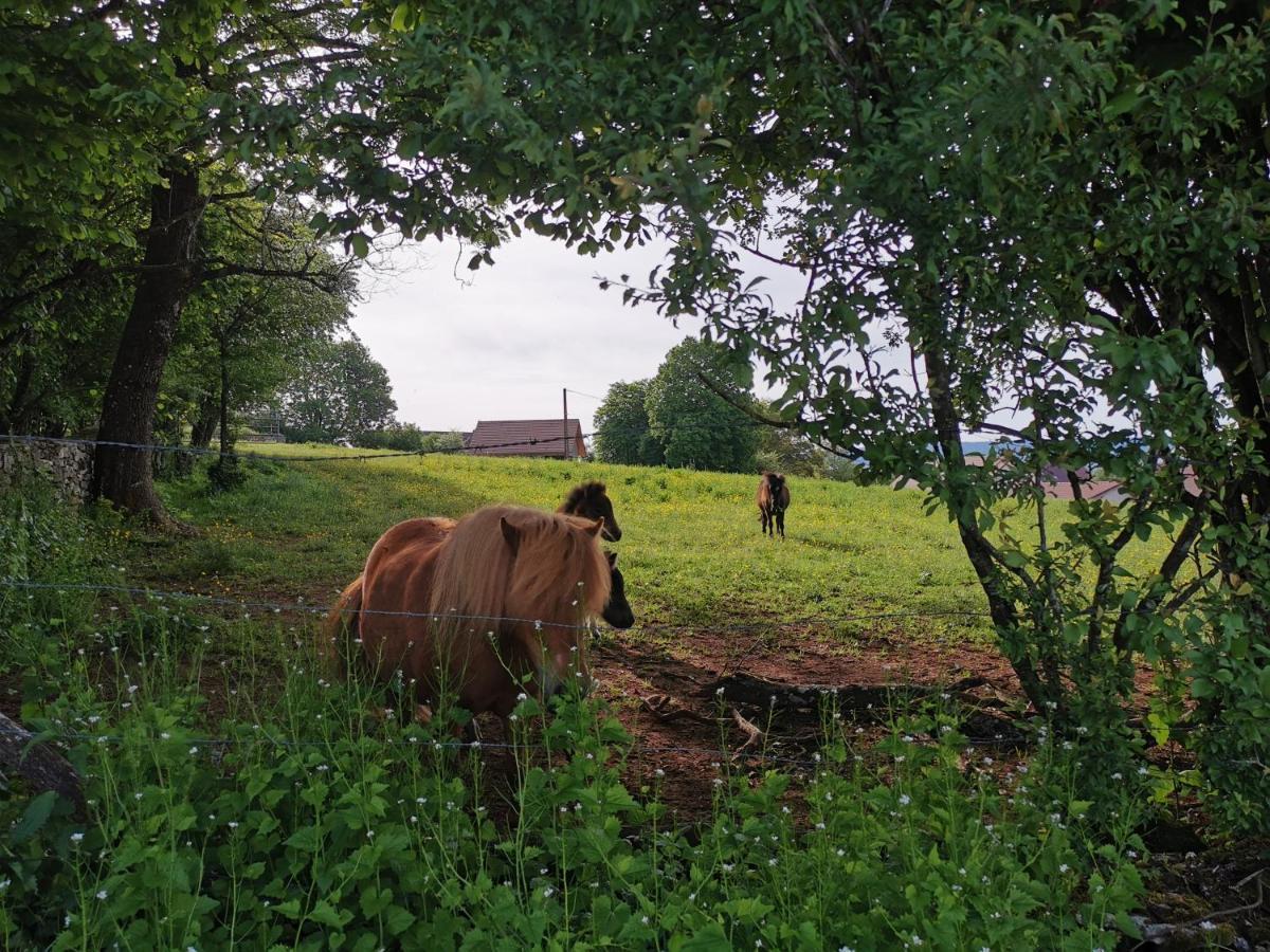Gite Du Colombier Le Fied Exterior foto