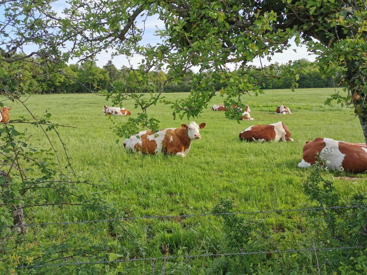 Gite Du Colombier Le Fied Exterior foto