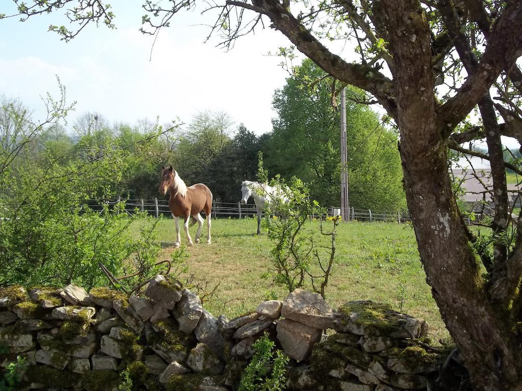 Gite Du Colombier Le Fied Exterior foto
